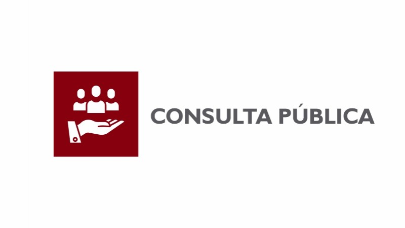 consulta publica