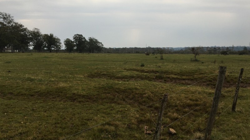 Imagem do terreno em que ser&aacute; instalada a usina