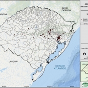 MAPA 2025