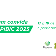 Fepam e Sema Modelos de Site (2)