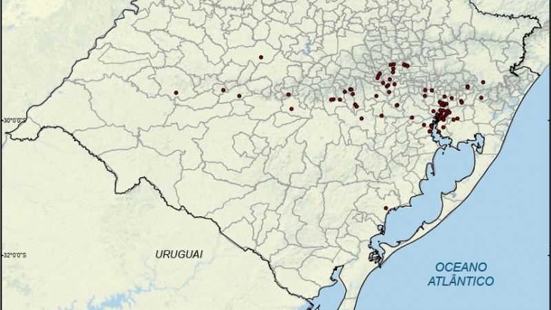 NOVO MAPA