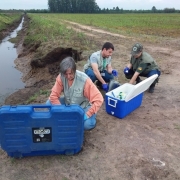 Analistas mexem em seus equipamentos em que coletaram amostras de água para verificar a presença do produto 