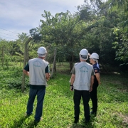 Três pessoas, utilizando capacetes de proteção, conversam a céu aberto, próximas de árvores e cerca de arame farpado